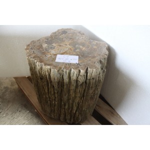 PETRIFIED WOOD STOOL OR TABLE - SMALL (UP TO 450 L...