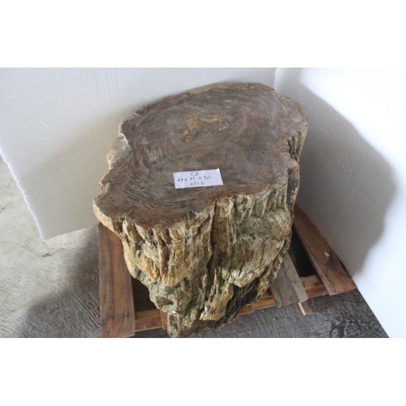 PETRIFIED WOOD STOOL OR TABLE - SMALL (OVER 600 LBS)