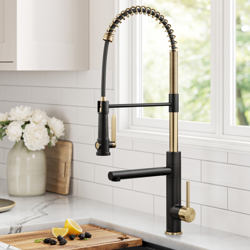 Artec Pro™ Commercial Style 2-Function Single Handle Pull Down Kitchen Faucet with Pot Filler in Spot Free Brushed Brass/Matte Black