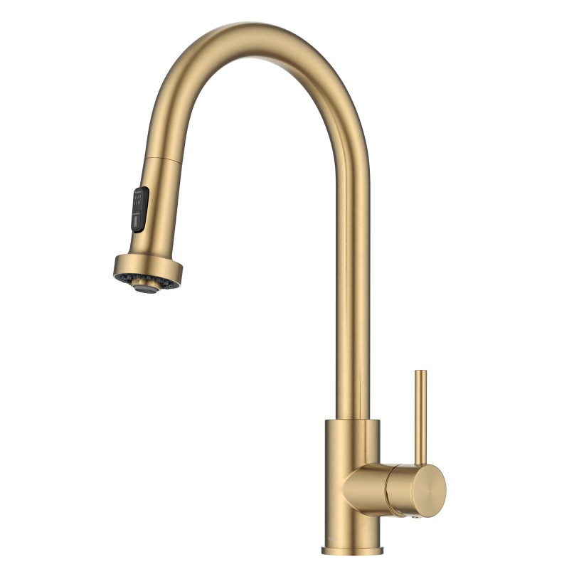 Bolden 2-Function Single Handle Pull Down Kitchen Faucet in Spot-Free Brushed Brass