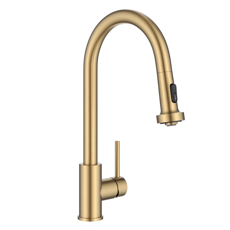 Bolden 2-Function Single Handle Pull Down Kitchen Faucet in Spot-Free Brushed Brass