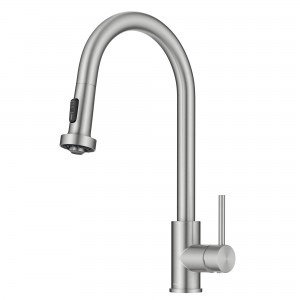 Bolden 2-Function Single Handle Pull Down Kitchen ...