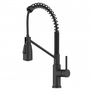 Coda™ Commercial Style 2-Function Single Handle ...