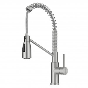 Coda™ Commercial Style 2-Function Single Handle ...