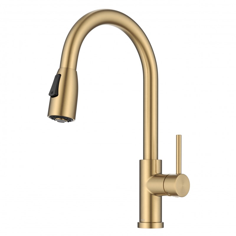 Coda™ 2-Function Single Handle Pull Down Kitchen Faucet in Spot-Free Brushed Brass
