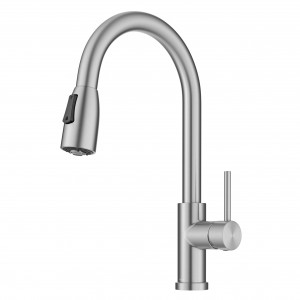 Coda™ 2-Function Single Handle Pull Down Kitchen...