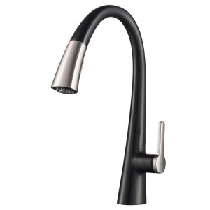 Nolen Single Handle Pull-Down Kitchen Faucet in Sp...
