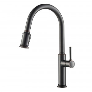 Sellette™ Single Handle Pull Down Kitchen Faucet...