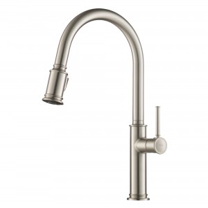 Sellette™ Single Handle Pull Down Kitchen Faucet...