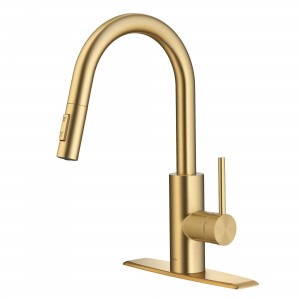 Oletto™ Single Handle Pull Down Kitchen Faucet i...