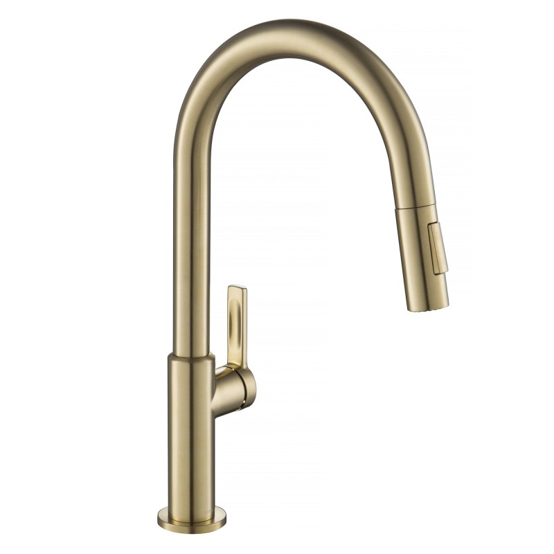 Oletto™ Single Handle Pull-Down Kitchen Faucet in Spot Free Antique Champagne Bronze