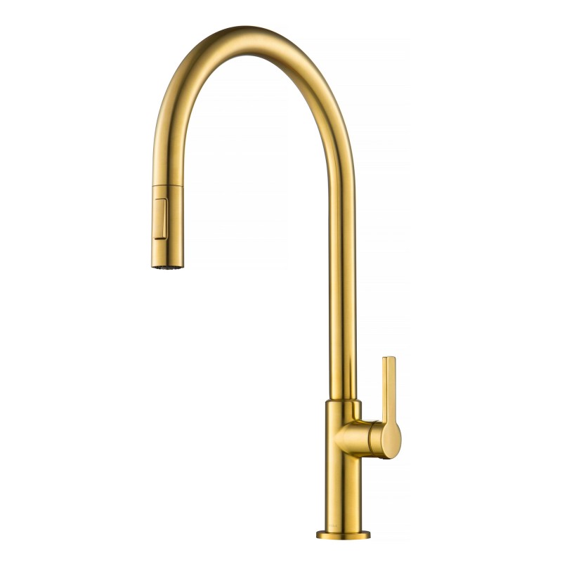 Oletto™ High-Arc Single Handle Pull-Down Kitchen Faucet in Brushed Brass