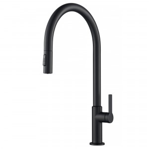 Oletto™ High-Arc Single Handle Pull-Down Kitchen...