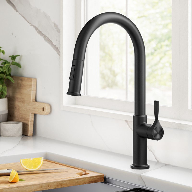 Torak™ 2-Function Single Handle Pull Down Kitchen Faucet in Matte Black