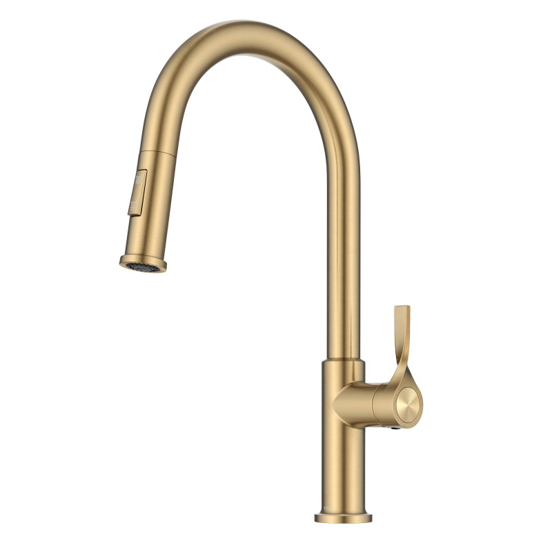 Torak™ 2-Function Single Handle Pull Down Kitchen Faucet in Spot-Free Brushed Brass