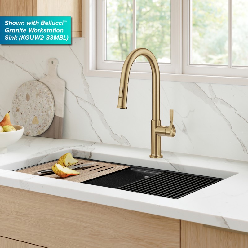 Torak™ 2-Function Single Handle Pull Down Kitchen Faucet in Spot-Free Brushed Brass