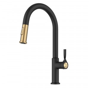 Torak™ 2-Function Single Handle Pull Down Kitche...
