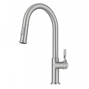 Torak™ 2-Function Single Handle Pull Down Kitche...