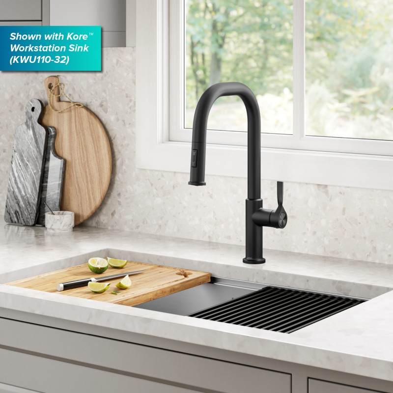 Torak™ 2-Function Single Handle Pull Down Kitchen Faucet in Matte Black