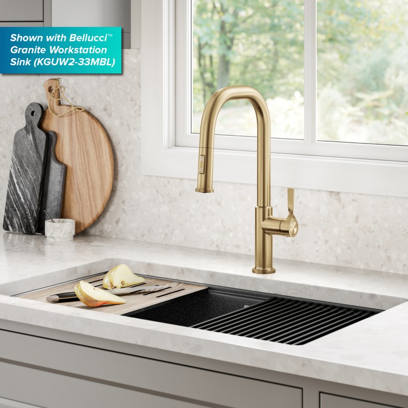 Torak™ 2-Function Single Handle Pull Down Kitchen Faucet in Spot-Free Brushed Brass