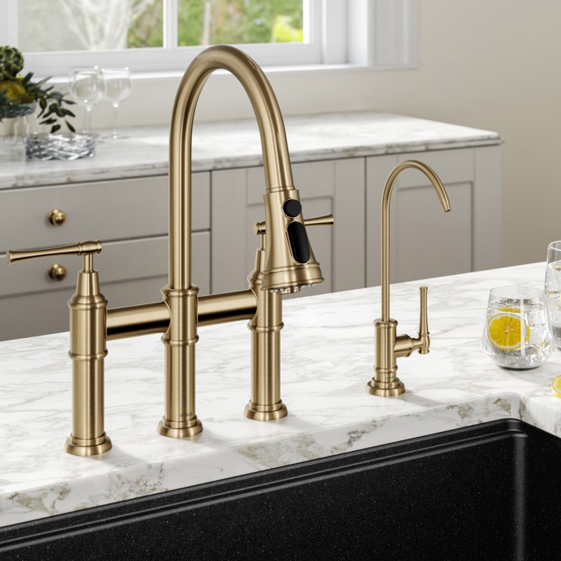 Allyn™ Transitional Bridge Kitchen Faucet and Water Filter Faucet Combo in Brushed Gold
