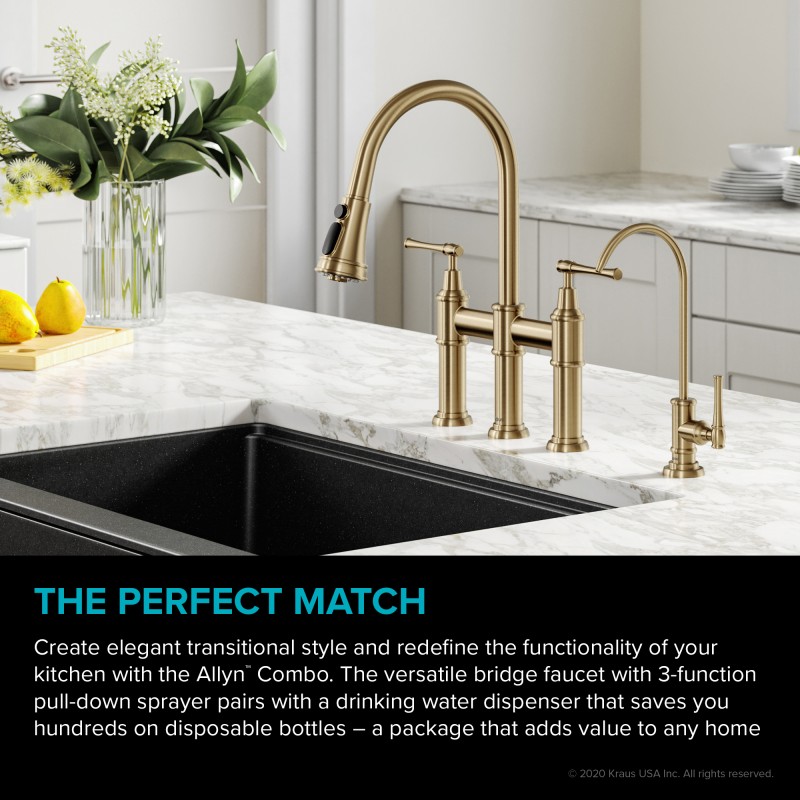 Allyn™ Transitional Bridge Kitchen Faucet and Water Filter Faucet Combo in Brushed Gold