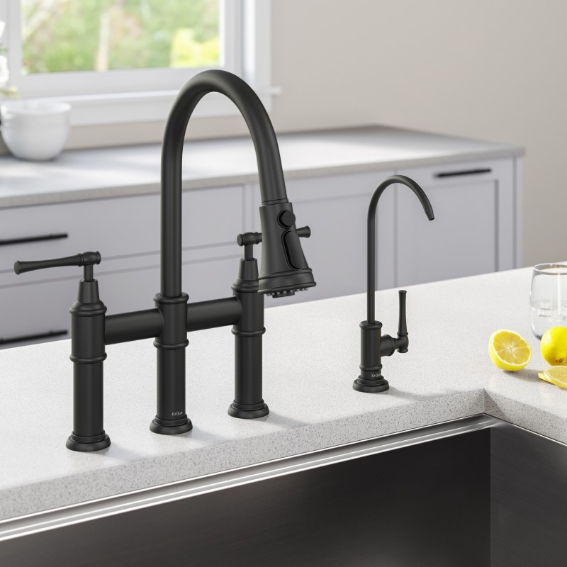 Allyn™ Transitional Bridge Kitchen Faucet and Water Filter Faucet Combo in Matte Black