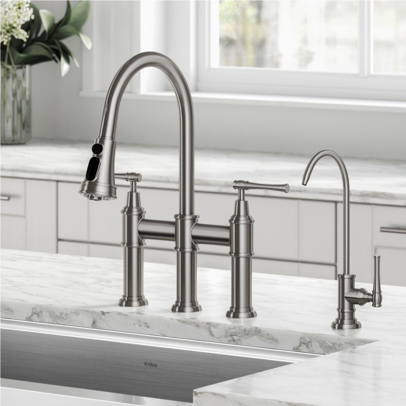 Allyn™ Transitional Bridge Kitchen Faucet and Water Filter Faucet Combo in Spot Free Stainless Steel