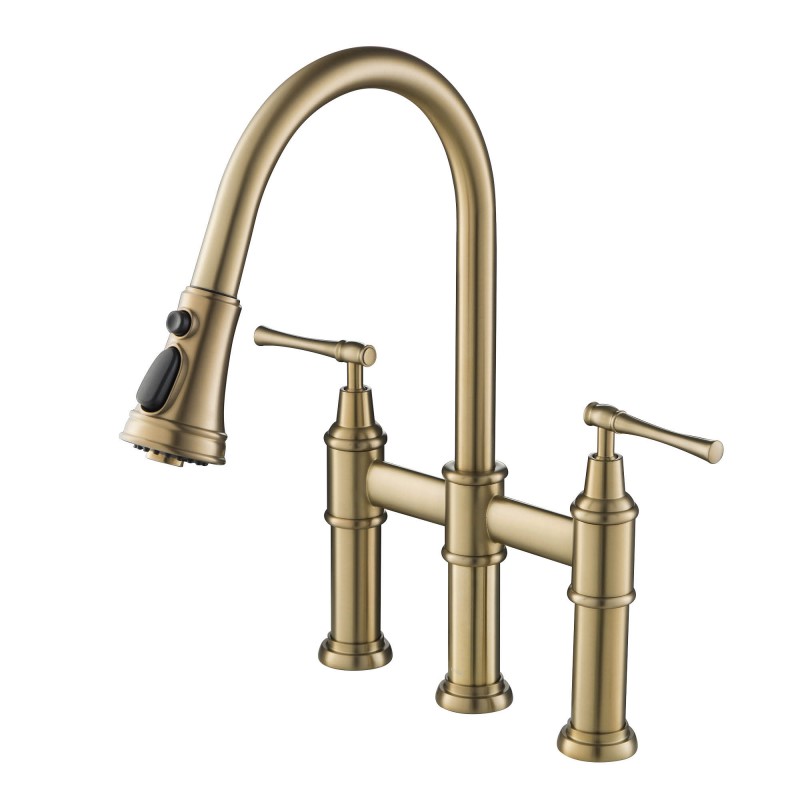 Allyn™ Transitional Bridge Kitchen Faucet with Pull-Down Sprayhead in Brushed Gold
