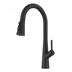 Odelia™ 4-Function Single Handle Pull Down Kitch...