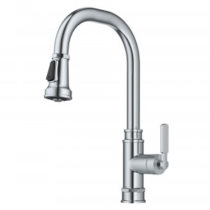 Allyn™ Transitional Industrial Pull-Down Single ...
