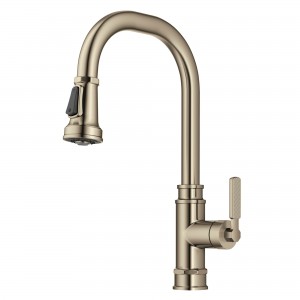 Allyn™ Transitional Industrial Pull-Down Single ...