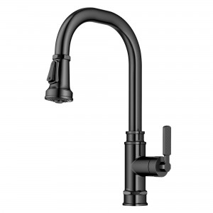 Allyn™ Transitional Industrial Pull-Down Single ...