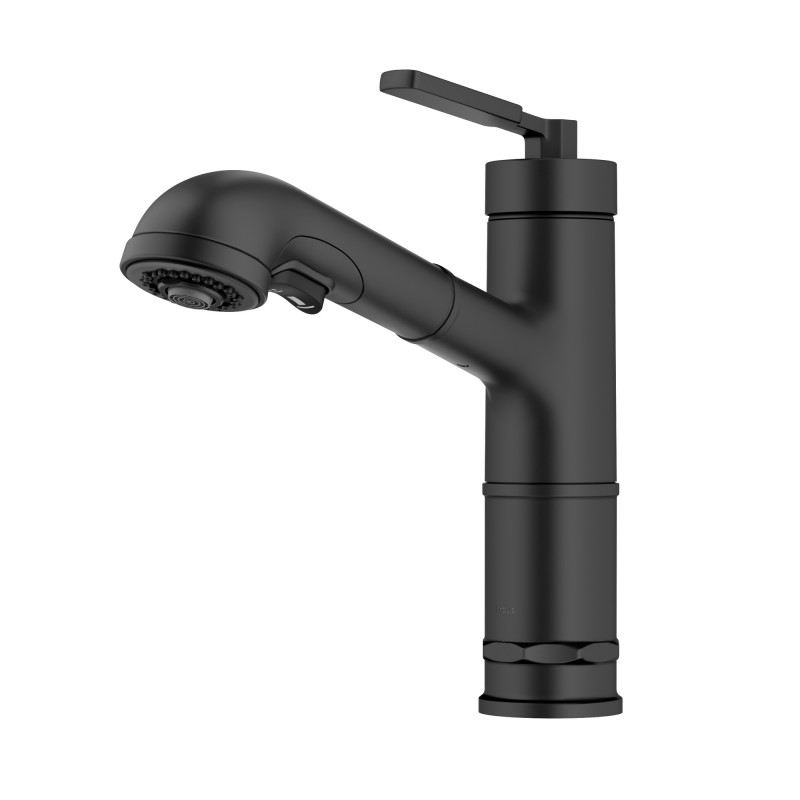 Allyn™ Industrial Pull-Out Single Handle Kitchen Faucet in Matte Black