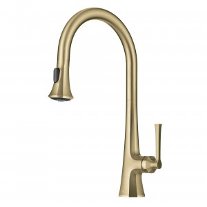 Savan™ 2-Function Single Handle Pull Down Kitche...