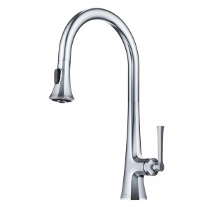 Savan™ 2-Function Single Handle Pull Down Kitche...