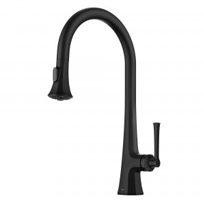 Savan™ 2-Function Single Handle Pull Down Kitche...