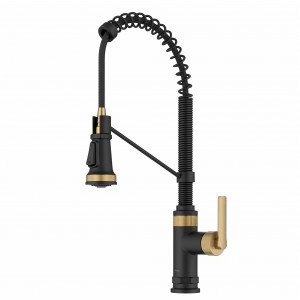 Allyn™ Commercial Style 2-Function Single Handle...