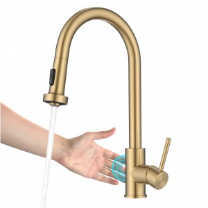 Bolden™ Touchless Sensor 2-Function Single Handl...
