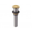 Brushed Gold Spring Loaded Push Button Drain (Without Overflow)